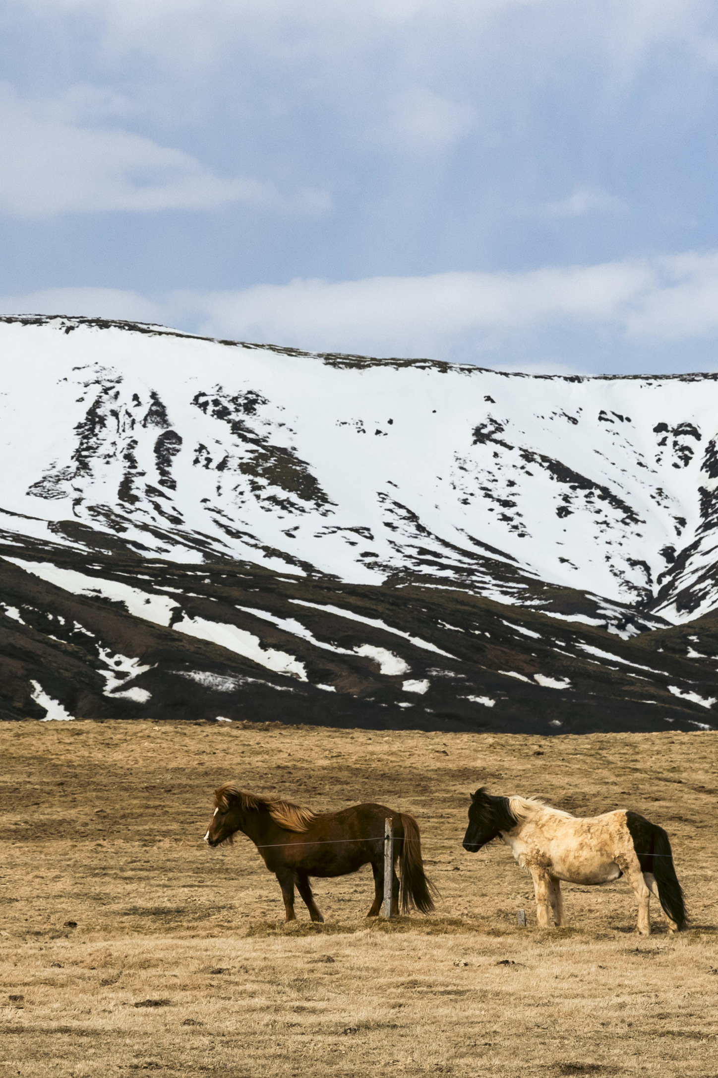 Iceland