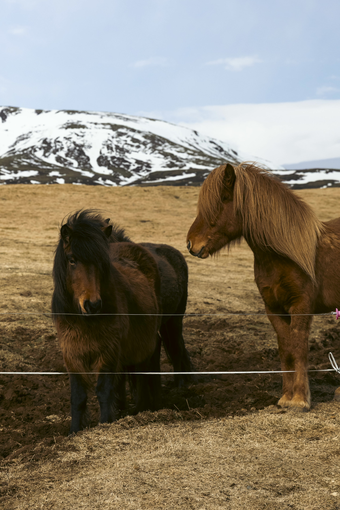 Iceland