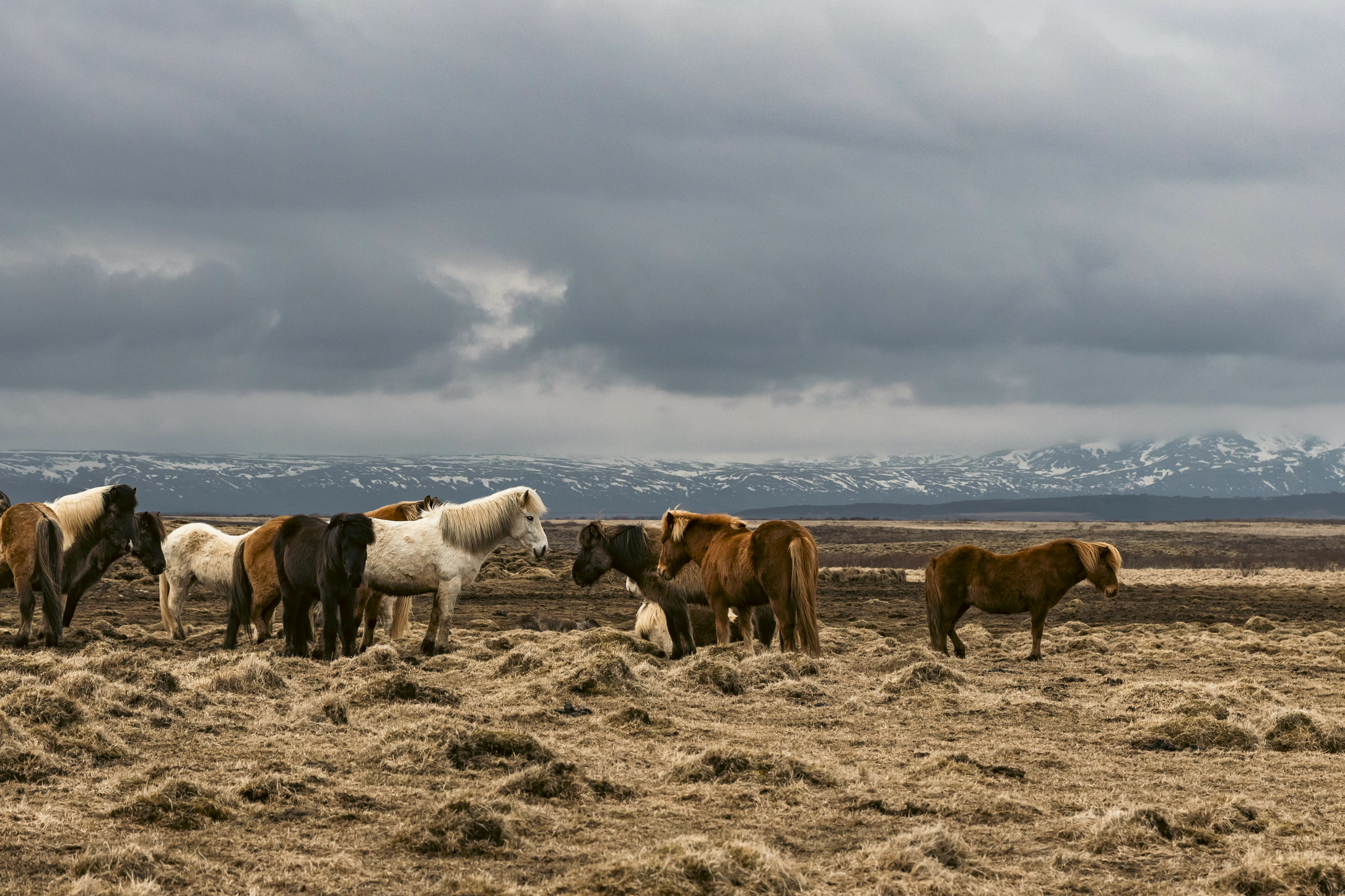 Iceland